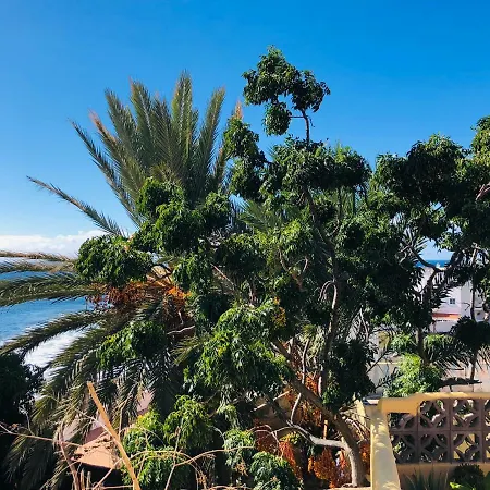 Apartamento Efigenia Playa/mar 1 Valle Gran Rey